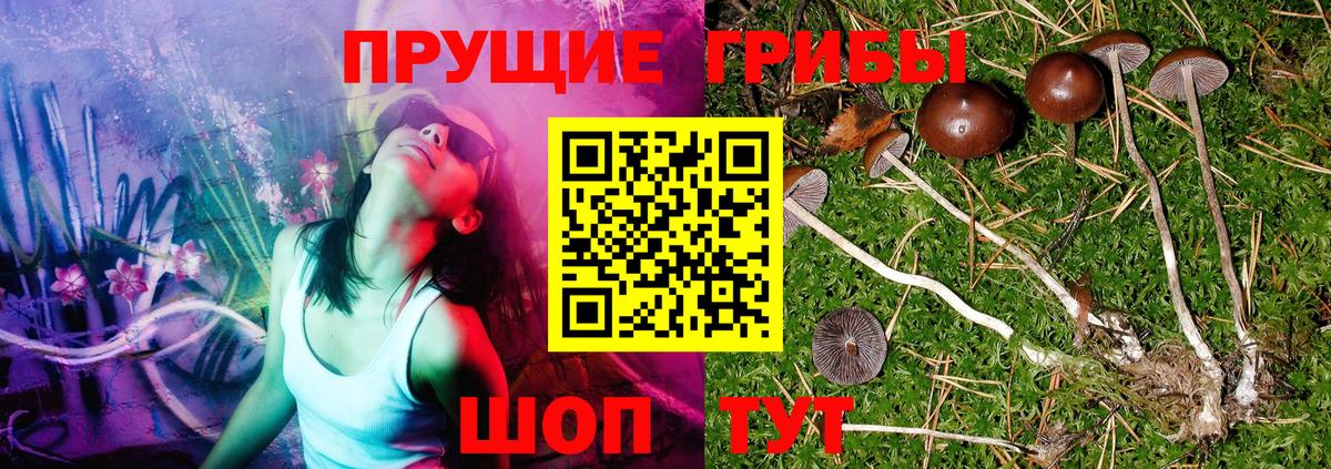 Псилоцибиновые грибы прущие грибы Хасавюрт